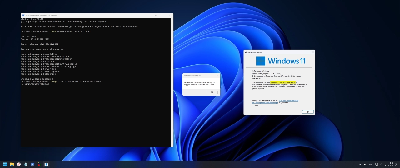 Screenshot #2 - Windows 11 Pro 23H2 [22631.2861 x64] Русская