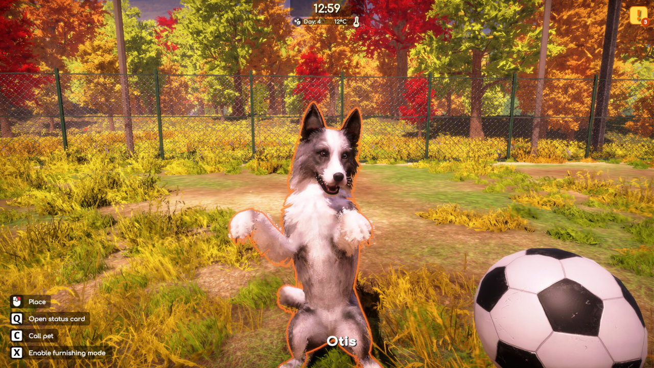 Screenshot #7 - Animal Shelter 2