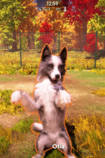 Screenshot #7 - Animal Shelter 2