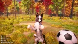 Screenshot #7 - Animal Shelter 2