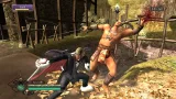 Screenshot #5 - Way of the Samurai 3