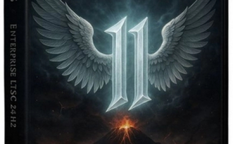 Windows 11 24H2 Enterprise LTSC 26100.6899 by Rsload