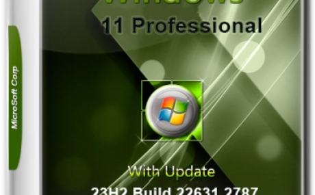 Windows 11 23H2 Professional 22631.2787 Lite
