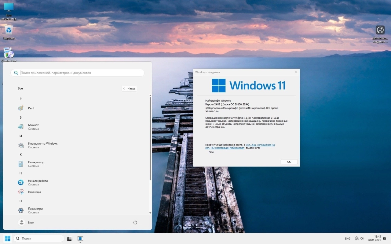 Screenshot #1 - Windows 11 IoT LTSC 24H2 Build 26100.2894 игровая сборка by Revision