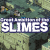 Great Ambition of the SLIMES
