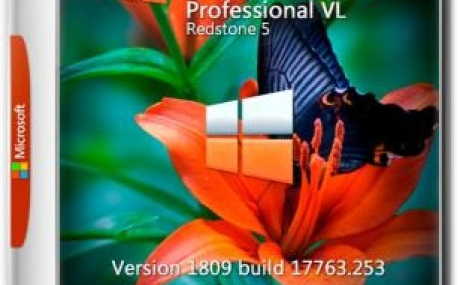Windows 10 PRO VL RS5 (x64) G.M.A. [v.09.01.19]