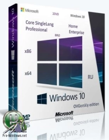 Windows 10 x86-x64 Ru 1809 RS5 8in2 Orig-Upd 11.2018 by OVGorskiy® 2DVD