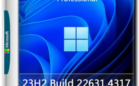 Windows 11 Pro 23H2 Build 22631.4317 Октябрь 2024
