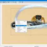 Screenshot #4 - PdfFactory Std & Pro 8.42