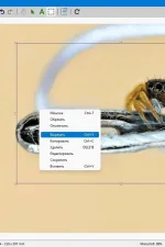 Screenshot #4 - PdfFactory Std & Pro 8.42
