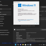 Screenshot #16 - Windows 11 Enterprise x64 MD 22H2 build 22621.607 by Zosma
