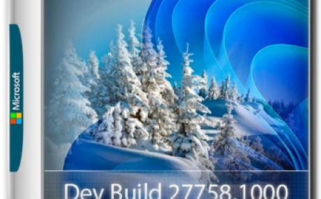 Windows 11 Pro Insider Preview Build 27758.1000
