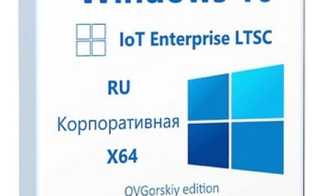 Windows 10 IoT Enterprise LTSC 21H2 by OVGorskiy 11.2025