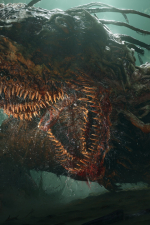 Screenshot #4 - Lords of the Fallen