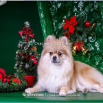 Screenshot #2 - Windows 7 SP1 with Update SURA SOFT (x64)[31.12.2017]