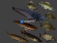 Fish animation