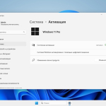 Screenshot #4 - Windows 11 Pro Легкая версия 23H2 Build 22631.3447 x64