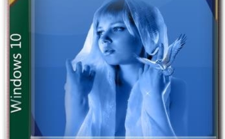 Windows 10 Pro 1903 (build 18362.295) x64 by vladislays v15.08.2019