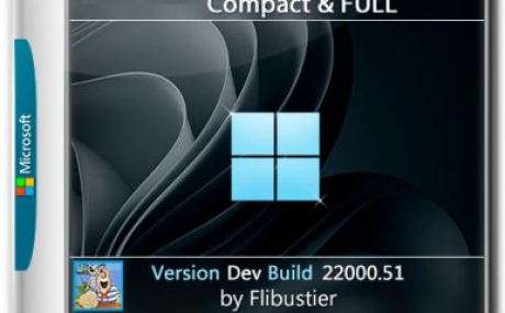 Windows 11 Build 22000.51 (Dev) Compact & FULL x64