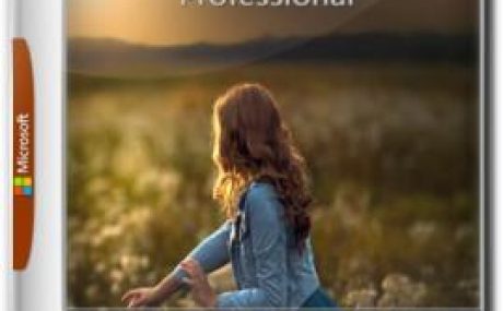 Windows 7 Professional SP1 x64 Русская сборка