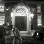 Screenshot #14 - CHICKEN POLICE 1.0