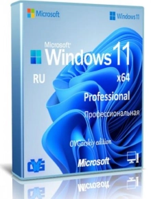 Windows 11 Pro Insider Preview 21H2 (10.0.22000.65) by OVGorskiy (x64)