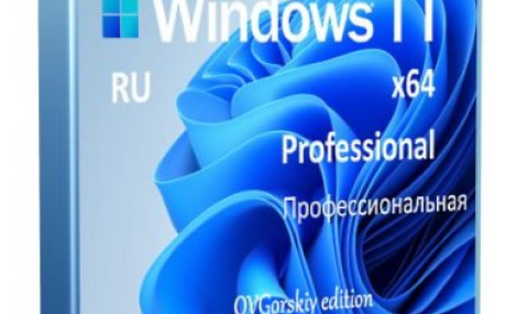 Windows 11 Pro Insider Preview 21H2 (10.0.22000.65) by OVGorskiy (x64)