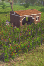 Screenshot #5 - Pompeii: The Legacy