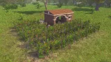 Screenshot #5 - Pompeii: The Legacy
