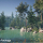 Nature Package