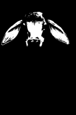 Screenshot #8 - Trench Face