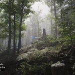 Screenshot #3 - Forest Environment - Dynamic Nature