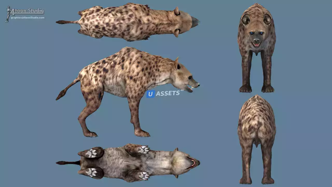 Screenshot #4 - African Animal Pack 2
