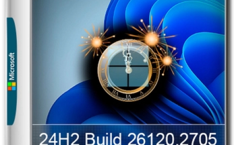 Windows 11 Русская 24H2 Pro Build 26120.2705 Dev