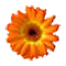 Artweaver