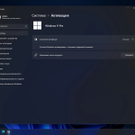 Screenshot #5 - Windows 11 Pro 24H2 Build 26100.2605 Optima