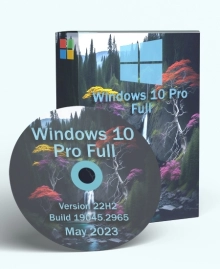 Windows 10 Pro 22H2 Build 19045.2965 Full May 2023