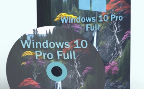 Windows 10 Pro 22H2 Build 19045.2965 Full May 2023