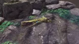 Screenshot #1 - Marine Shader Pack