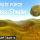 Brute Force - Grass Shader
