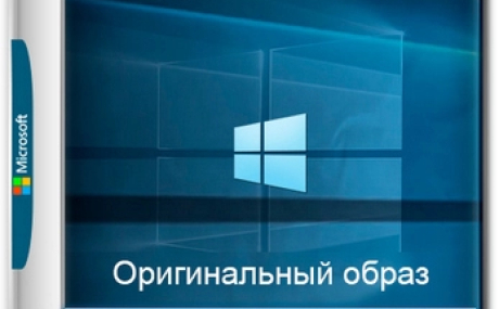 Windows 10 Pro 22H2 Build 19045.5487 Full Февраль 2025