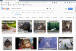 Screenshot #4 - Браузер Mozilla Firefox Quantum v129.0.1