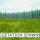 Vegetation Spawner