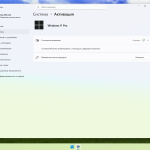 Screenshot #5 - Windows 11 Pro Lite 24H2 Build 26100.4946