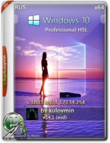 Windows 10 HSL/Pro 1803 x64 by kuloymin v14.1 (esd)