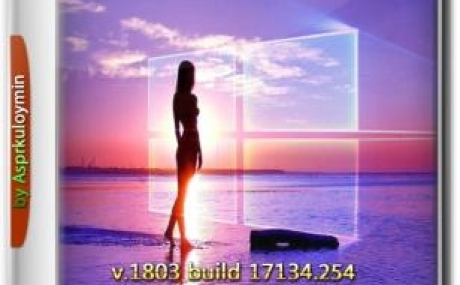 Windows 10 HSL/Pro 1803 x64 by kuloymin v14.1 (esd)