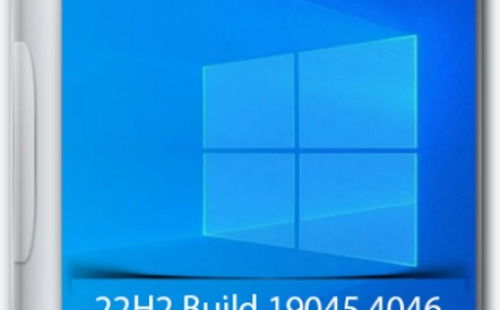 Windows 10 Pro 22H2 Build 19045.4046 Full February 2024