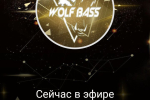 Screenshot #1 - WOLF BASS 1.1