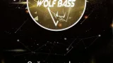 Screenshot #1 - WOLF BASS 1.1