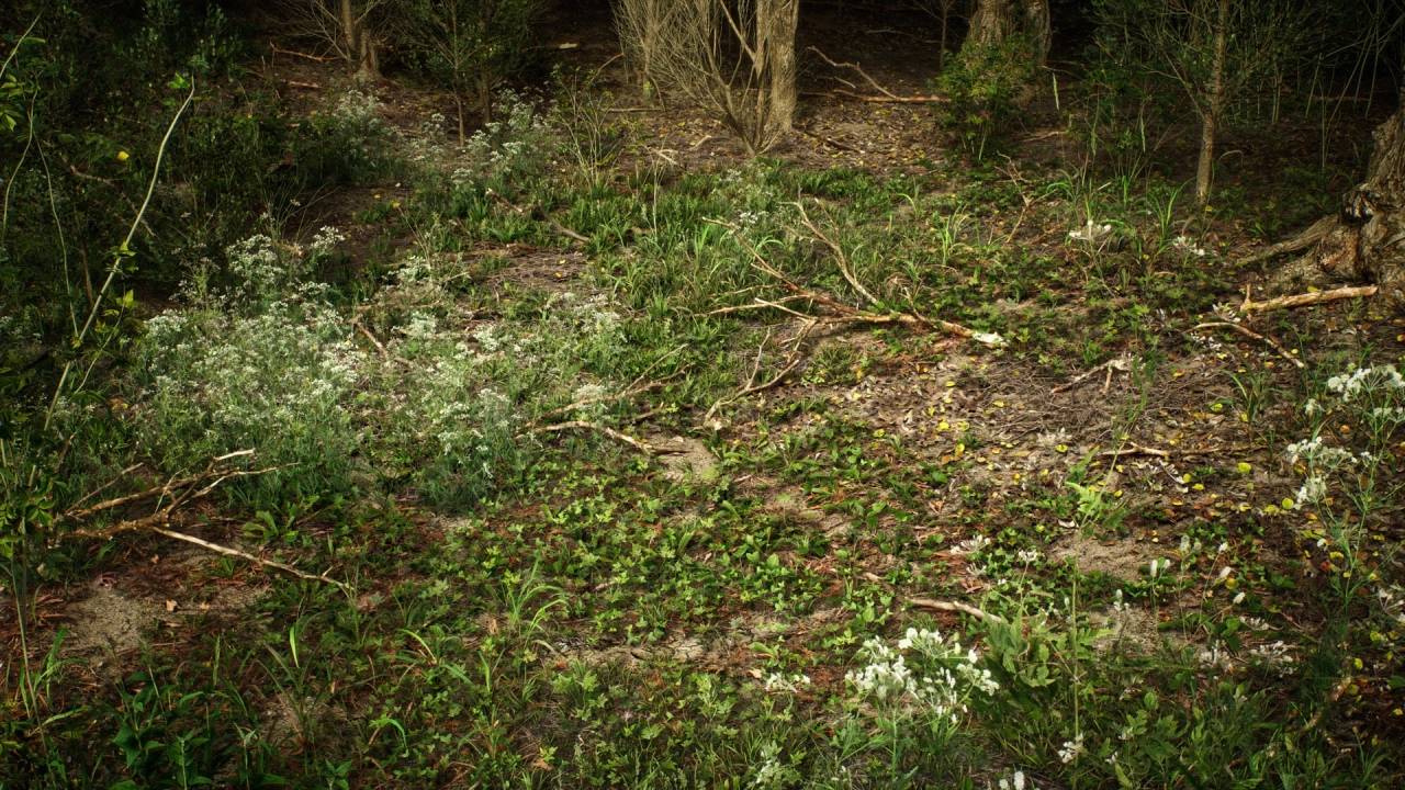 Screenshot #4 - PCG Biome: Forest Poplar (Interactive Foliage, Trees, Wind System, Nature)